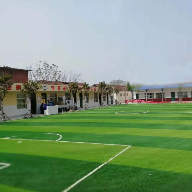 学校运动足球场草坪