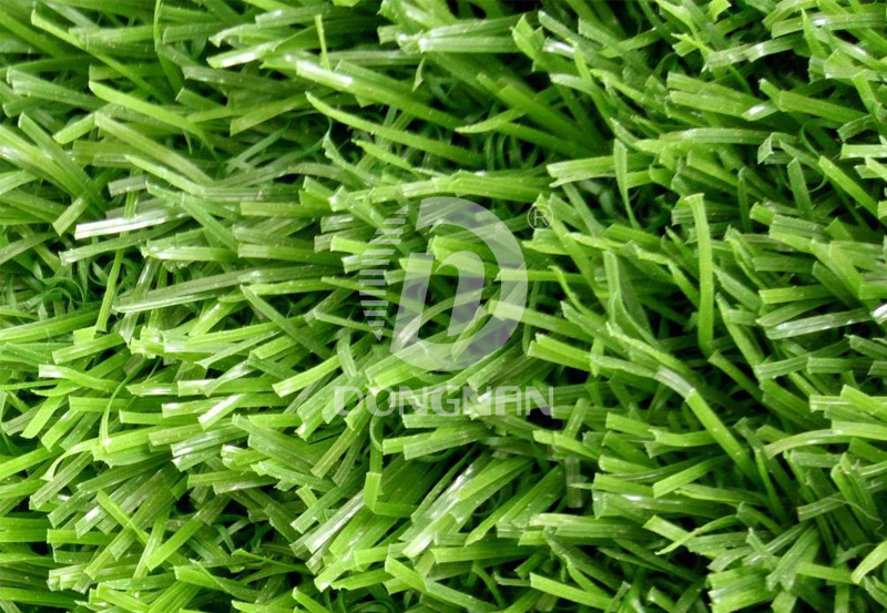 上海批发绿化草坪生产厂家