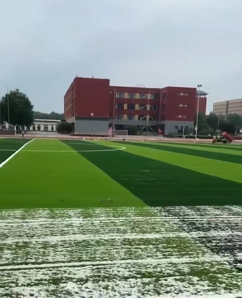 足球场人造草坪 